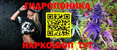 наркотики Будённовск