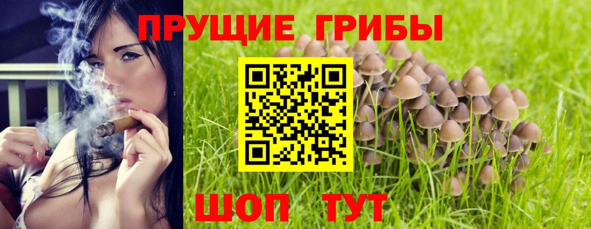 Псилоцибиновые грибы GOLDEN TEACHER Новошахтинск